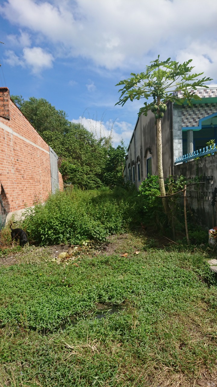 Đất Trảng Bàng - 277m2 - 1 tỷ 800