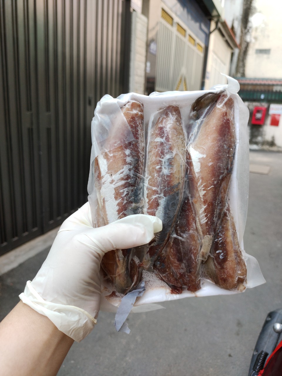 Cá Nục Gai Một Nắng Lột Da