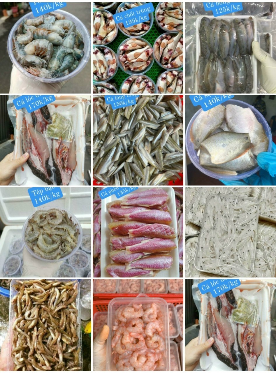 Cá Tôm Tép Nhà Quê - Hàng Cấp Đông