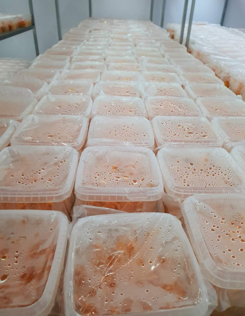 Đông Trùng Hạ Thảo (loại sấy và để tươi) 2