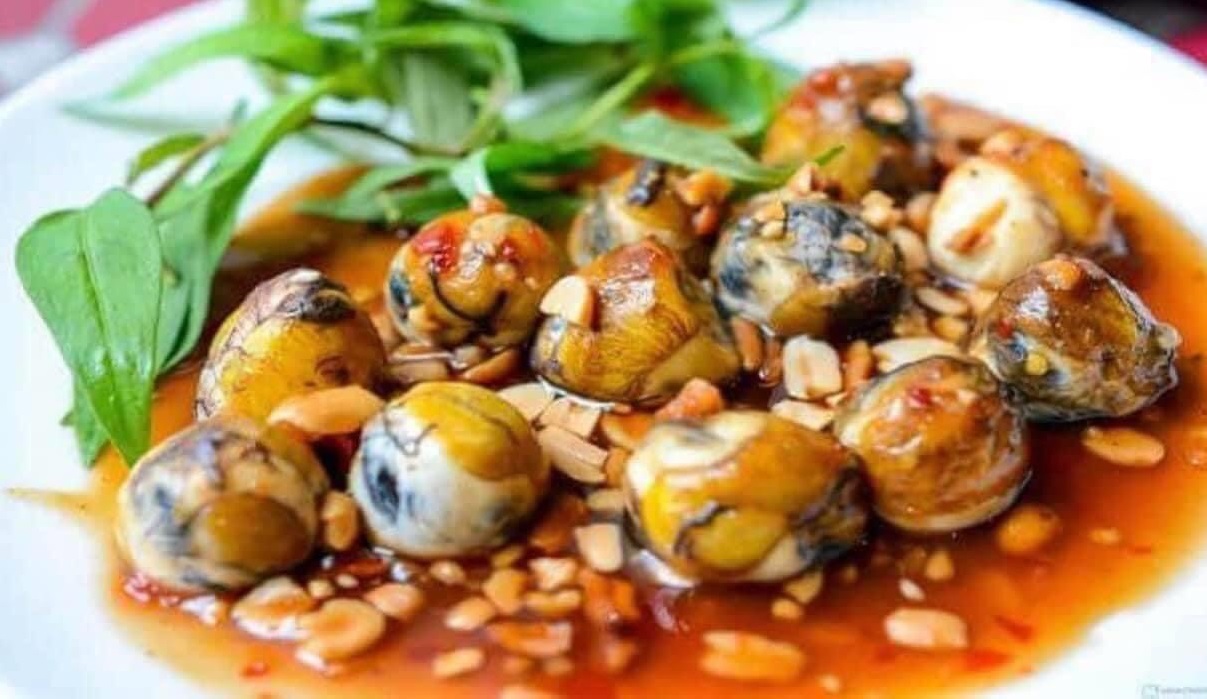 Cút Lộn - Cút Lạt - Cút Mái Trứng 2