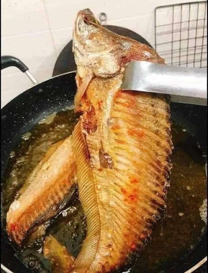 Cá Thác Lác Rút Xương 3