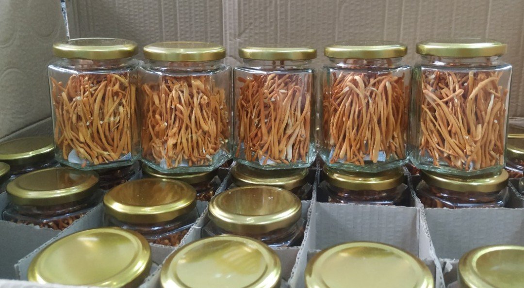 Đông Trùng Hạ Thảo (loại sấy và để tươi) 4