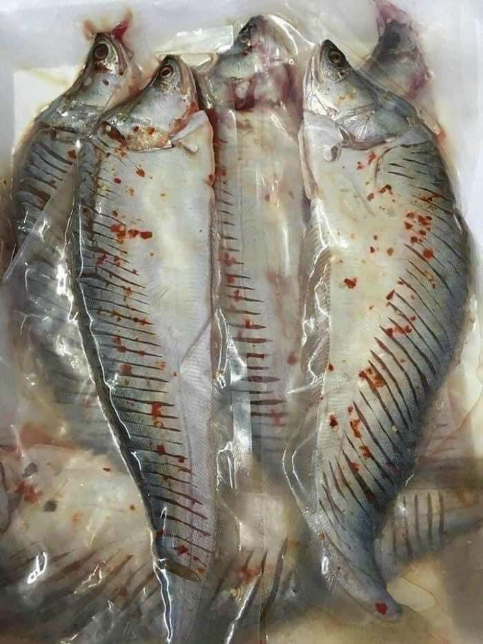 Cá Thác Lác Rút Xương 4