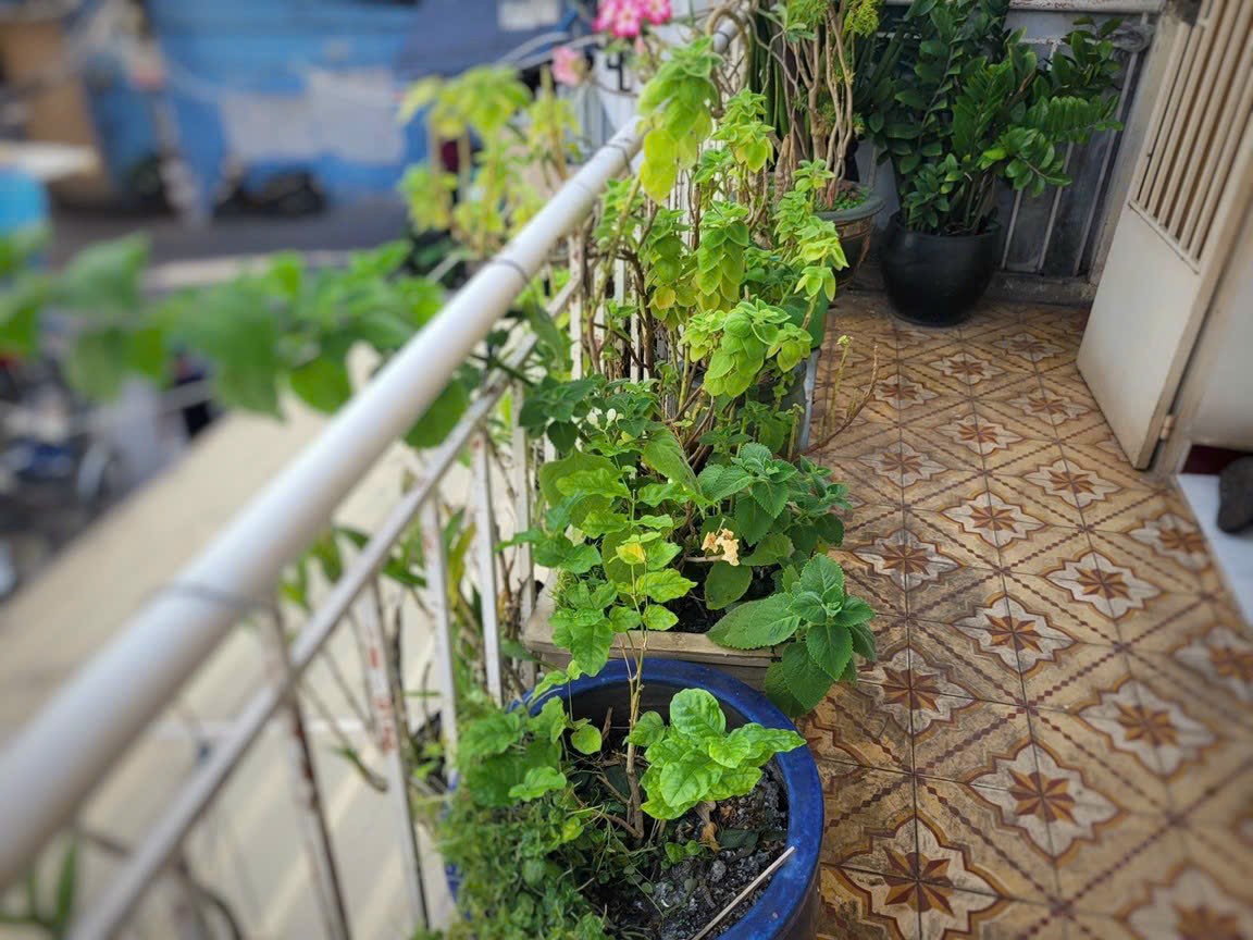 Nhà P10 Tân Bình - 63m2 - 6 tỷ 200 6