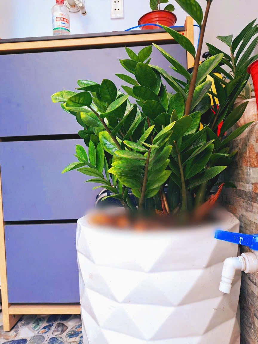 Nhà Tân Chánh Hiệp - 40m2 - 3 tỷ 200 7