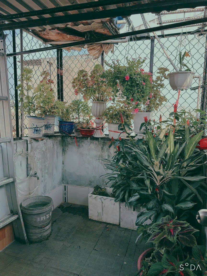 Nhà P14 Bình Thạnh - 27m2 - 3 tỷ 200 8